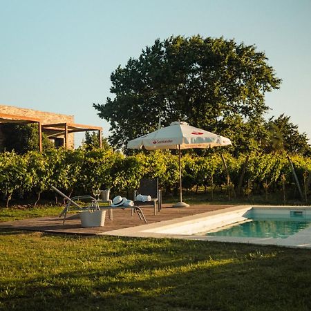 Pizzorno Lodge & Wine Progreso Zewnętrze zdjęcie