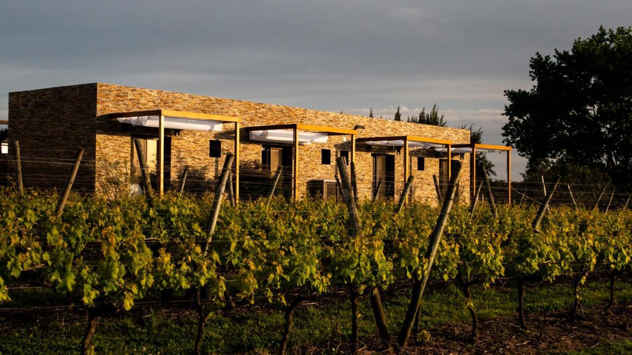 Pizzorno Lodge & Wine Progreso Zewnętrze zdjęcie