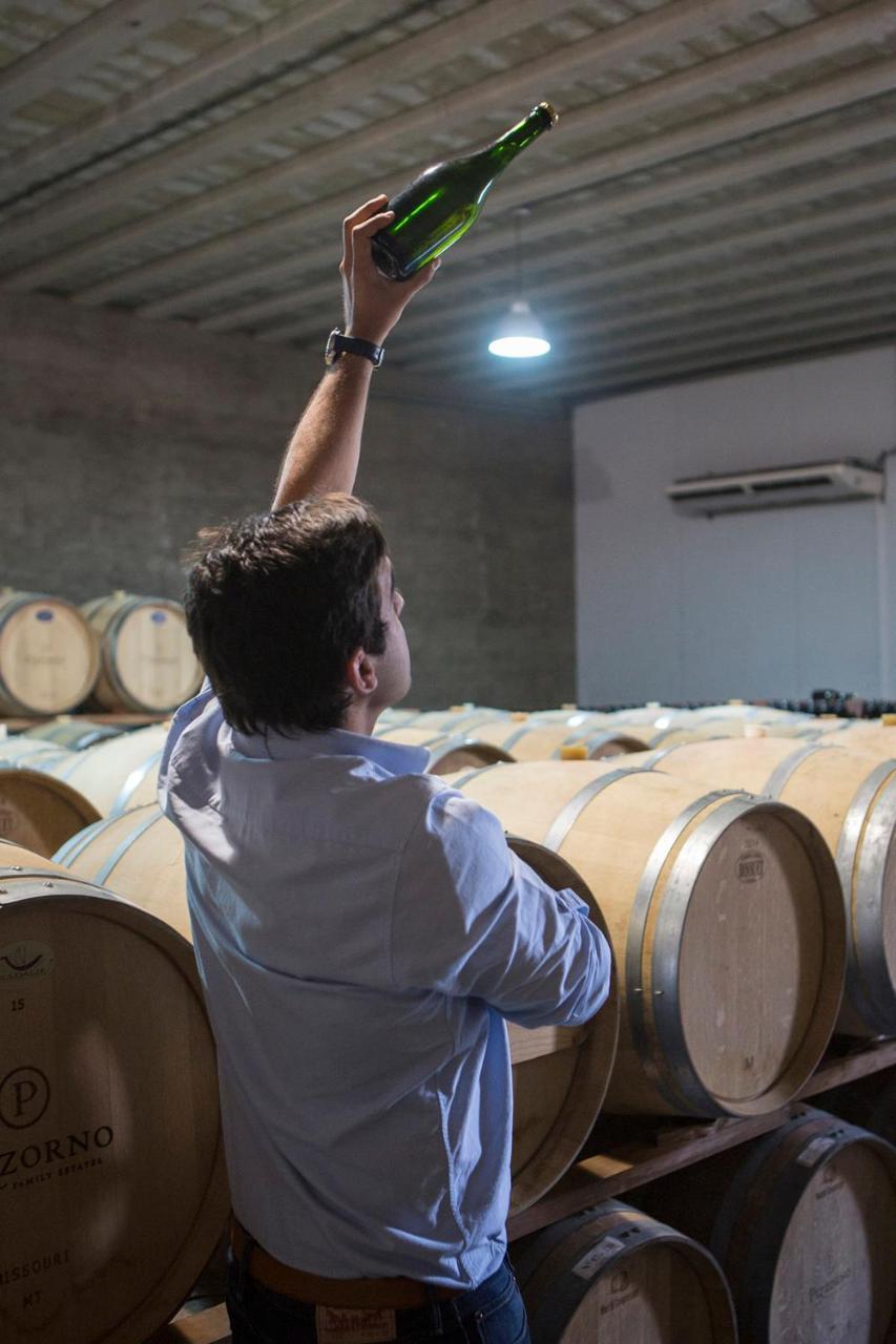 Pizzorno Lodge & Wine Progreso Zewnętrze zdjęcie