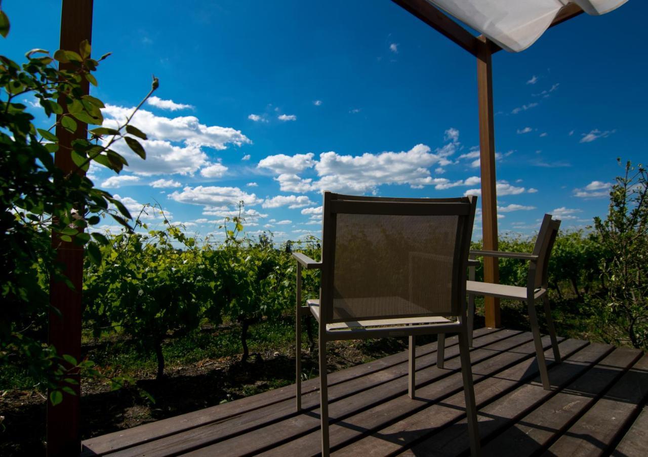 Pizzorno Lodge & Wine Progreso Zewnętrze zdjęcie