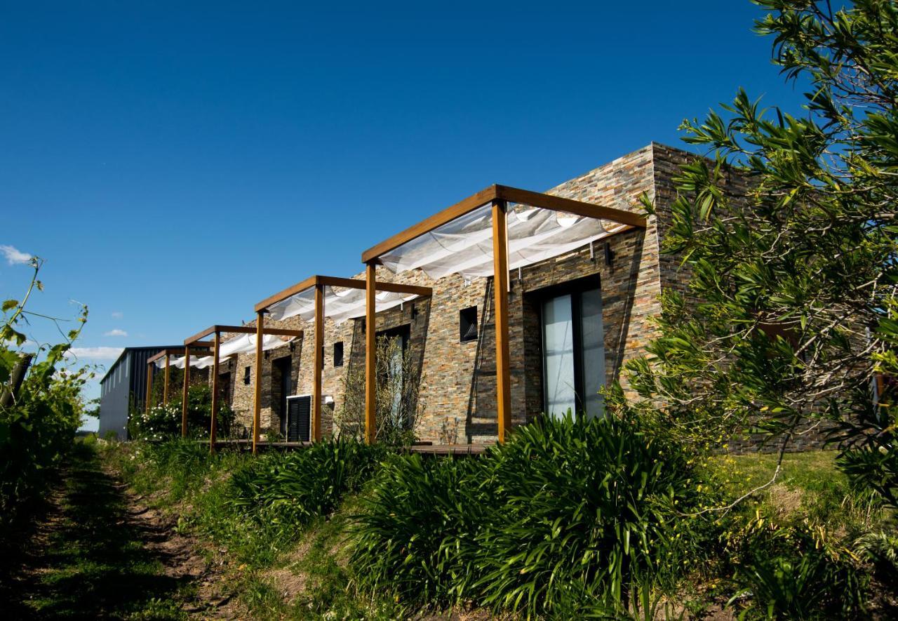 Pizzorno Lodge & Wine Progreso Zewnętrze zdjęcie