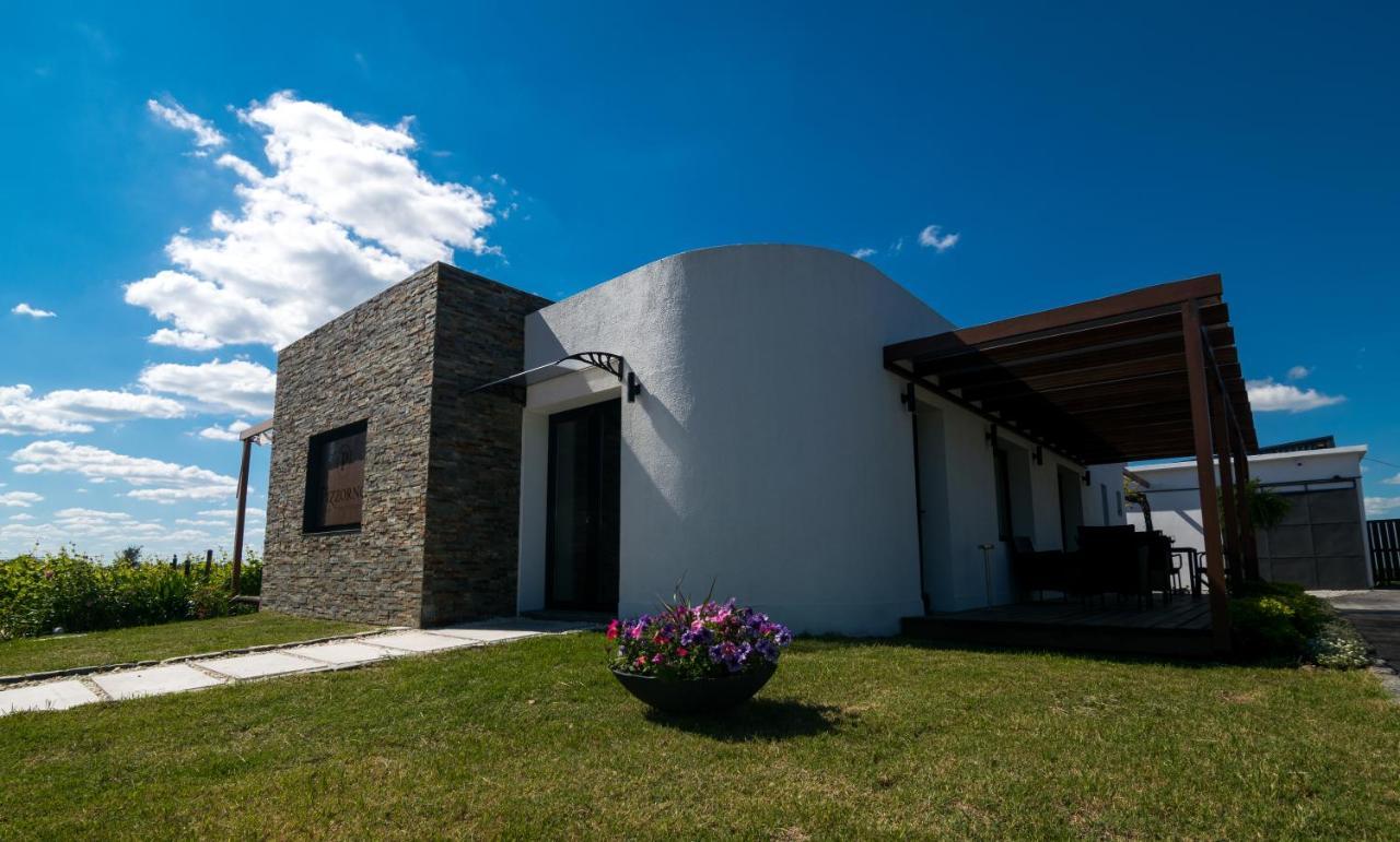 Pizzorno Lodge & Wine Progreso Zewnętrze zdjęcie